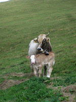 20070920_0038.JPG