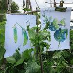 vegie_artworks_10 - 001.jpg