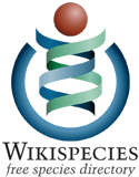 Wikispecies logo en