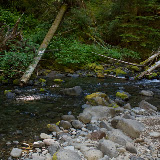 IMG_8797.jpg