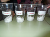 DSCF0319.JPG