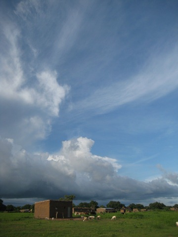[IMG_13852.jpg]