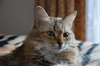 DSC_0048.JPG