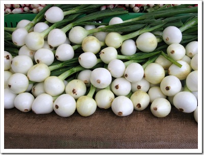 ONION