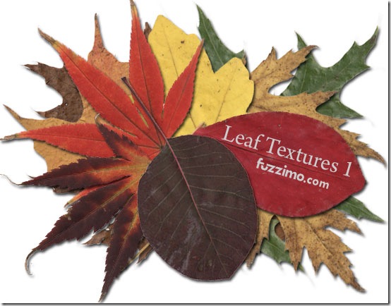 fzm-Leaf-Textures-01 fzm-Leaf-Textures-01