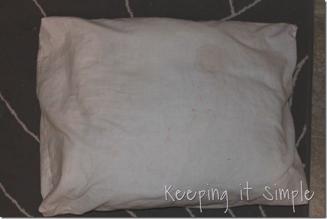 no sew pillow (1)