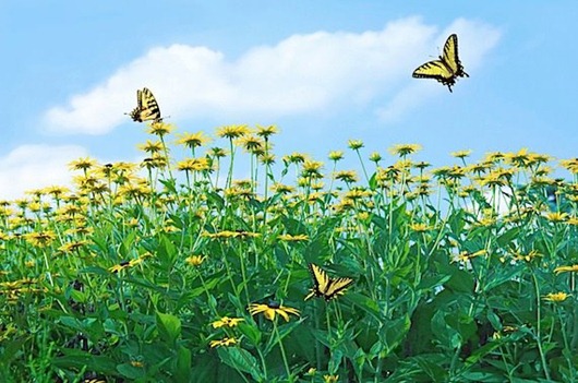 [379851_2718996219320_1389467354_3092176_1995192395_n%255B3%255D.jpg]