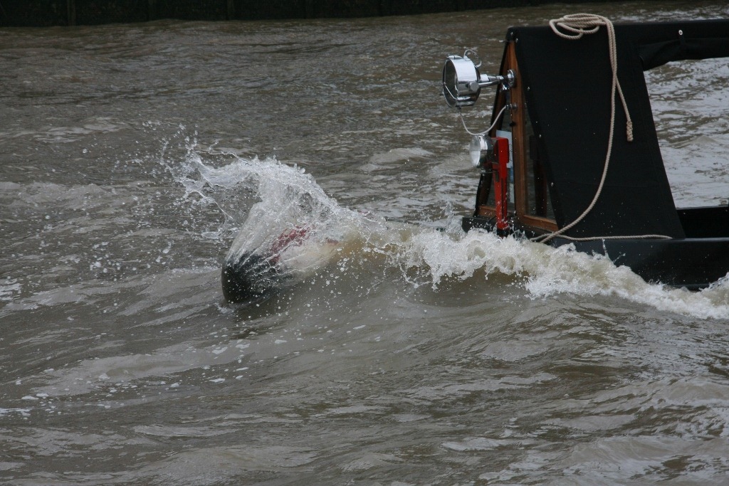 [IMG_0439%2520%25281024x683%2529%255B4%255D.jpg]
