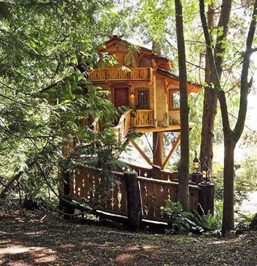 Amazing Tree Houses