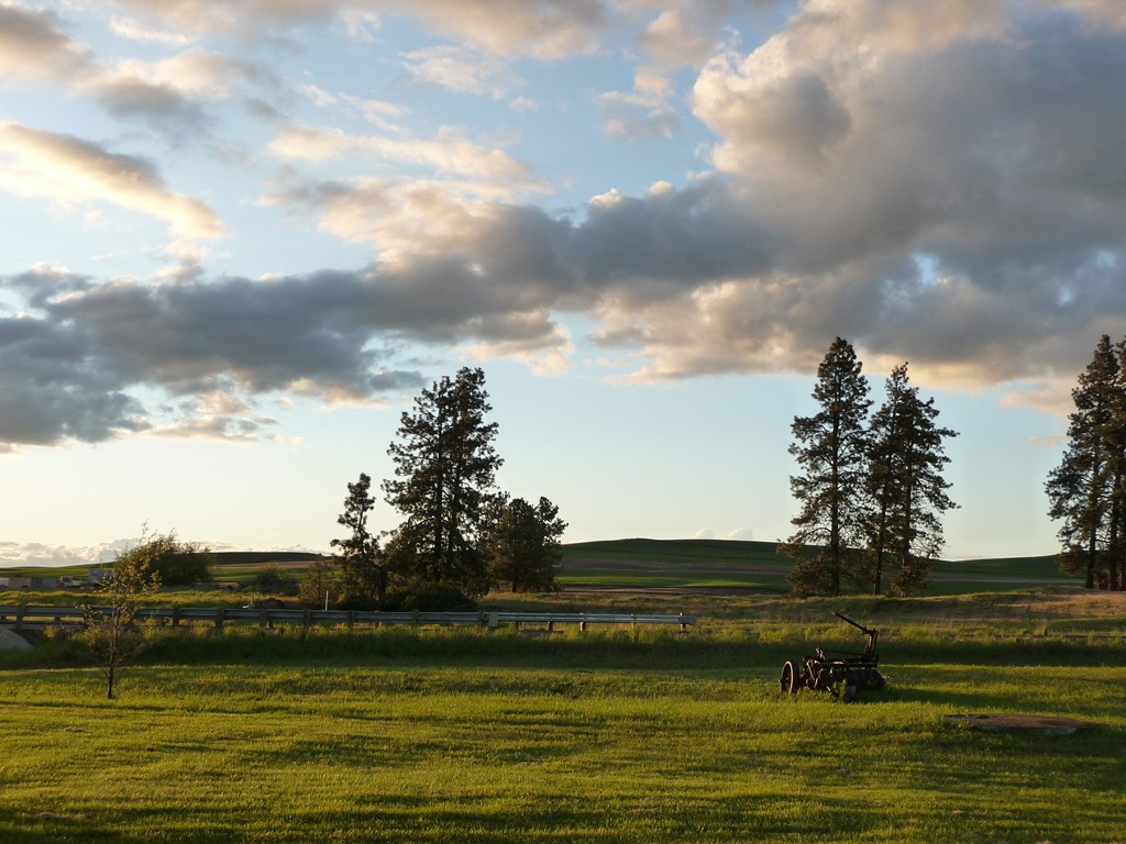 [farm-chicks-0044.jpg]
