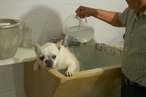 Oh no!  The drenching!