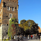 DSCF4788.JPG