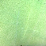 IMG_0157.JPG