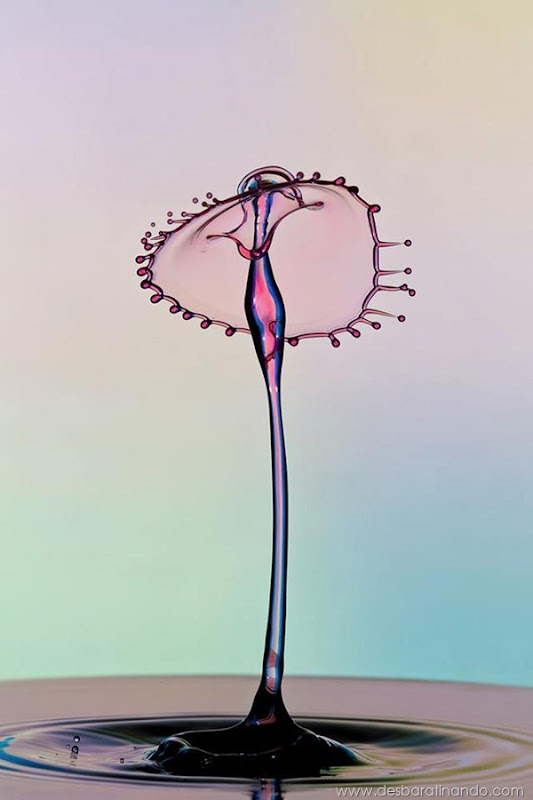 liquid-drop-art-gotas-caindo-foto-velocidade-hora-certa-desbaratinando (183) liquid-drop-art-gotas-caindo-foto-velocidade-hora-certa-desbaratinando (183)