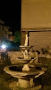 Fontana Del Picchio Marchigiano