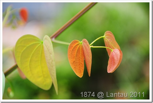 DSC_0560 DSC_0560