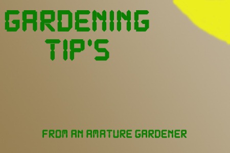 [Gardening%2520Tip%255B3%255D.jpg]