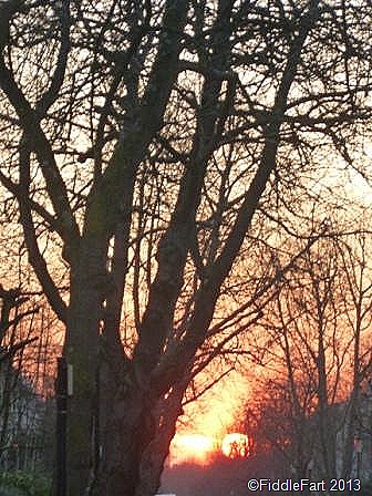 [Sunset%2520Ladbrook%2520Grove%255B8%255D.jpg]