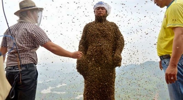 most-bees-on-a-person