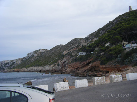 2012_09250057.jpg