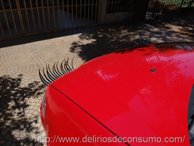 [DSC02571%255B5%255D.jpg]