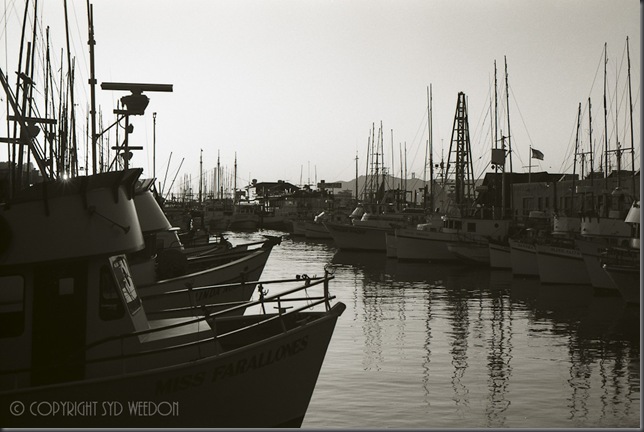 Fishermans Wharf Sundown 82 4
