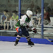 BIPNATS2011-12G1_0036.JPG