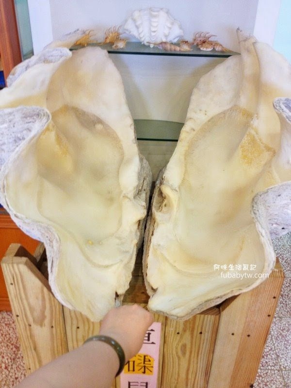 調整大小IMG_2248 調整大小IMG_2248