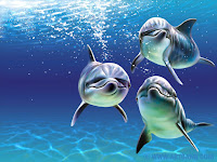 Delfines.jpg