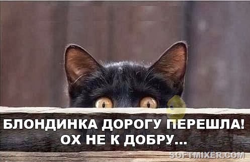 [yumora-nemnogo-kartinki-smeshnye-kartinki-fotoprikoly_124688465%255B3%255D.jpg]