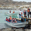 tour-punta-choros-isla-damas
