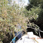 DSCN3043.JPG