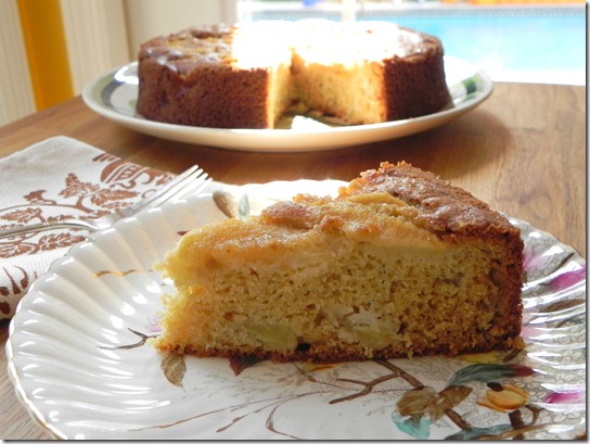 rustic-apple-yogurt-cake-torta-di-mele-allo-yogurt-3 rustic-apple-yogurt-cake-torta-di-mele-allo-yogurt-3