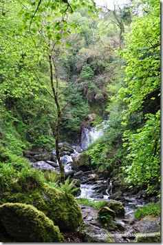 Península de Kerry. Torc Waterfall - DSC_0180