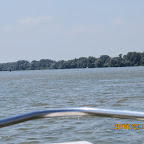 IMG_4253.JPG