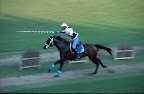 http://lh5.ggpht.com/-LlNYgxGR1_Y/RzwAbUEHUwI/AAAAAAAAAFU/_hqs1ZMs-Jk/s144/23.JPG