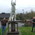 DSCF4336.JPG