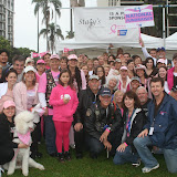 Making Strides 2010 - San Diego