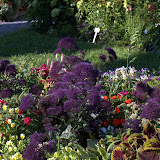 DisplayGardensAugust6 DisplayGardensAugust6
