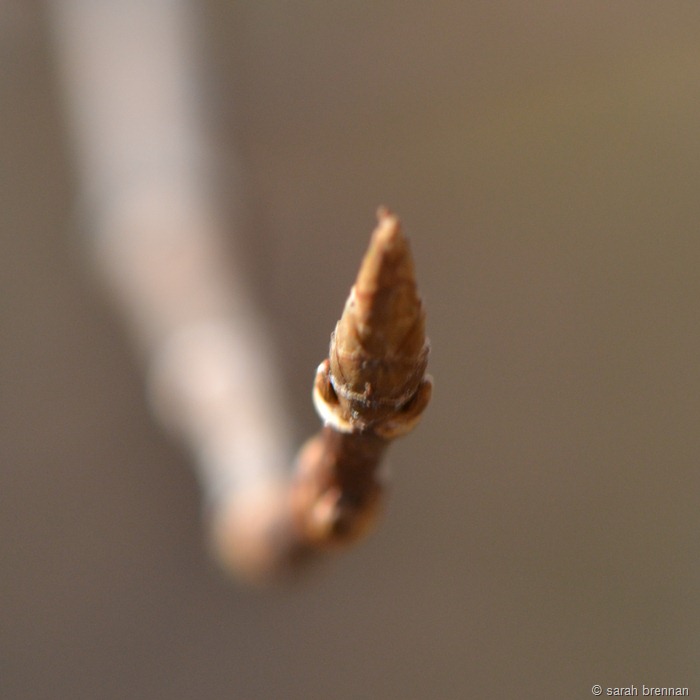 [DSC_0893%2520%25285%2529%255B14%255D.jpg]