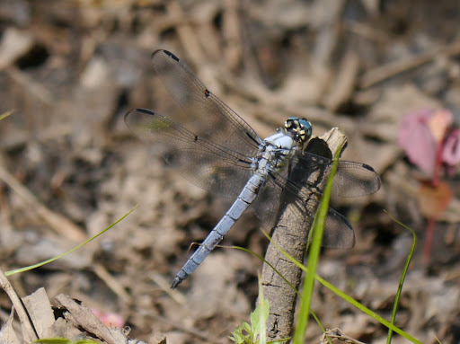 P1080133