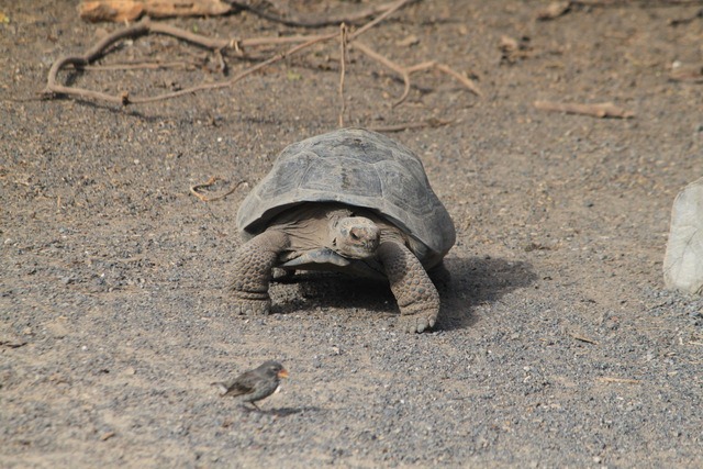 [IMG_0704%255B2%255D.jpg]