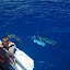 TW_TRIP_0151.JPG