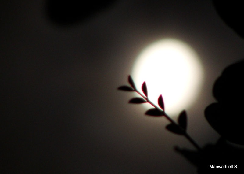 [Moon_Romance_1_Closeup_by_Manwathiell%255B4%255D.jpg]