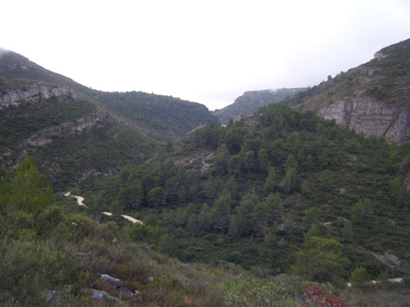 2011_11042251.jpg
