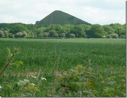 mount judd