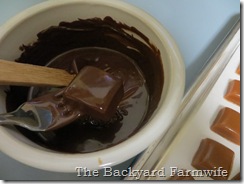 dark chocolate salted caramels - The Backyard Farmwife
