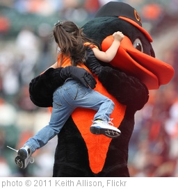 'Baltimore Orioles Bird' photo (c) 2011, Keith Allison - license: http://creativecommons.org/licenses/by-sa/2.0/