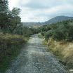 Kreta-11-2012-016.JPG