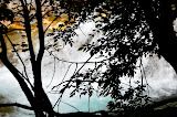 DSC_0174.JPG